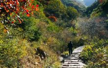 西山口大舞台(石家庄店)