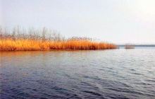 沱湖自然保护区