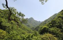 武当山南神道旅游区