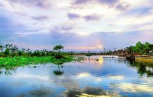 异龙湖万亩荷花园