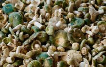 易门县南屯湖生态旅游园二期公园