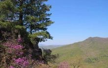 清河林业局悬羊岭风景区