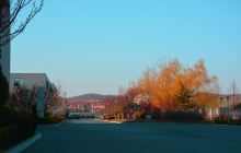 鲁迅美术学院大连校区