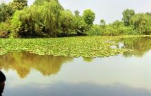 东湖公园