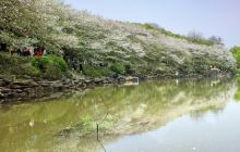 湖南省森林植物园