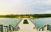 伊宁市潘津镇昌潘蔬菜种植专业合...