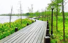 龙灵山生态公园