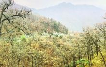 马鬃岭自然保护区