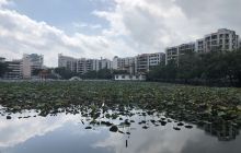 宝月公园