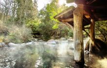 木棉花酒店温泉