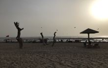 金沙滩马兰海滨