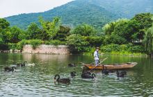 湿地动物区