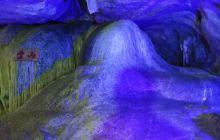 世博园名花艺石园