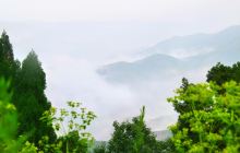 金粟山森林公园