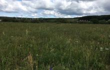 木兰秋狝文化园