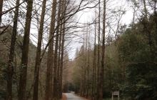 龙栖山自然保护区