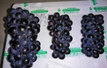 马家垟村基督教堂