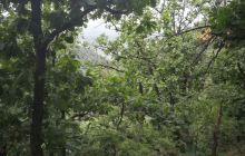 窄涧谷太平寺摩崖造像