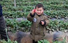 江俊农业生态园