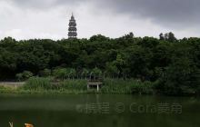 大雾岗森林公园