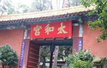 多衣树