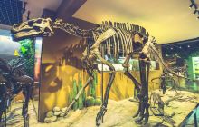 史前生命博物馆