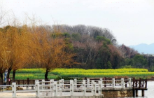 北鄱阳湖湿地公园