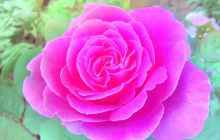 济源东沟青萝河景区