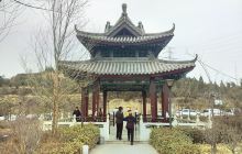 东山五龙生态森林公园