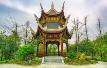 鹿冲关森林公园