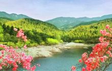 黄柏山国家森林公园