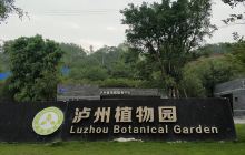 泸天化植物园