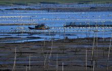 霞浦牛屿滩涂体验景区
