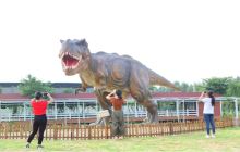 南昌融创恐龙奇趣世界