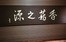 庆元县香菇博物馆