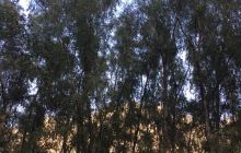 拒马河溶洞漂流