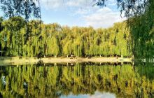 黄金海岸高尔夫球会