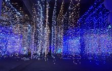 珠海光影星空色彩展