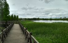 鹰潭西湖湿地公园