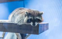 江阴市钱振标烈士纪念馆