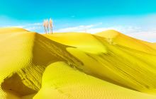 腾格里•金沙海