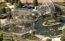 百鸟园-中心广场