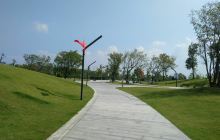 深圳湾公园-追风轮滑公园