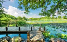 九里河湿地公园