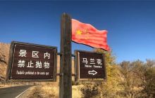 且末大巴扎市场