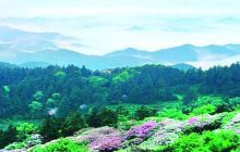 天台国家森林公园