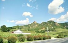 红石峡沙地植物园