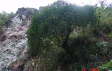 大风丫口百鸟会