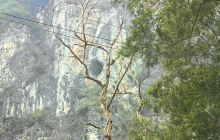 宜州市刘三姐故居