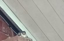 荷风工艺美术大师陶瓷艺术创作展